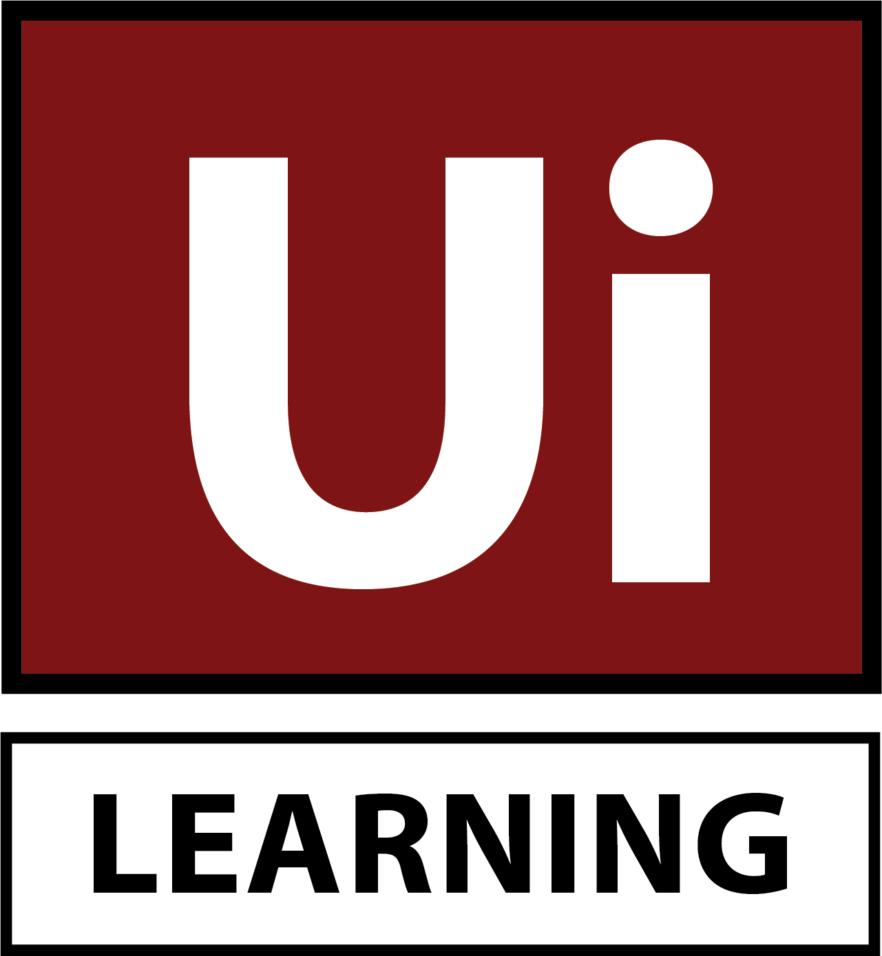 UI Learning Computer Institute Karachi